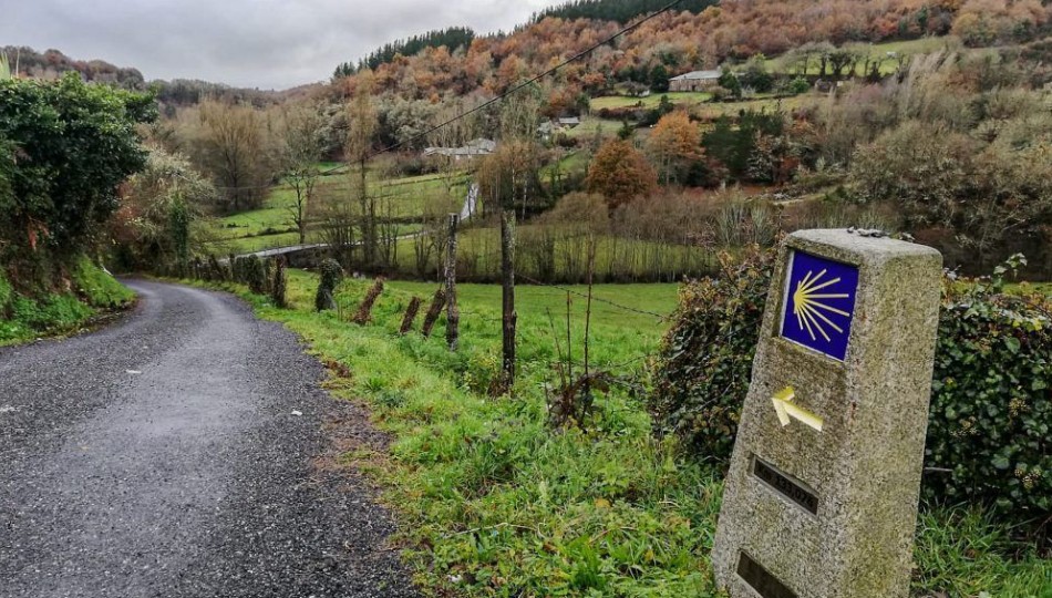 El arte de desconectarse: por qué aburrirse puede ser bueno para tu mente