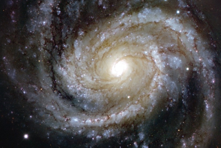 Vender activos de alto valor no es marketing: es control de la información